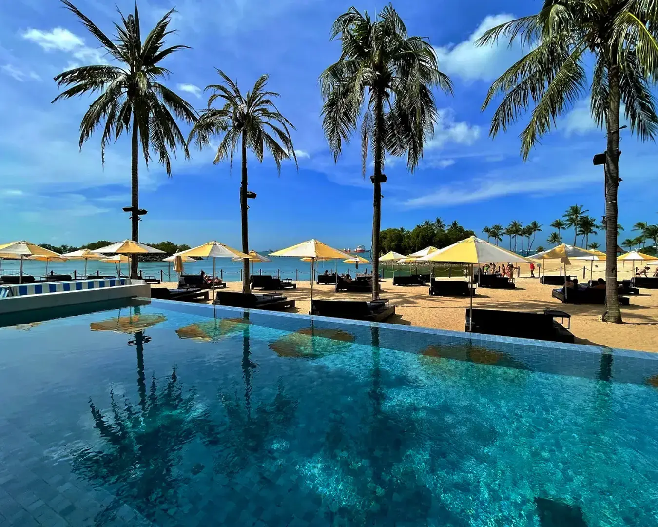 A peaceful poolside setup featuring a chair under a yellow and white umbrella with a coconut tree nearby, combining leisure with tropical scenery