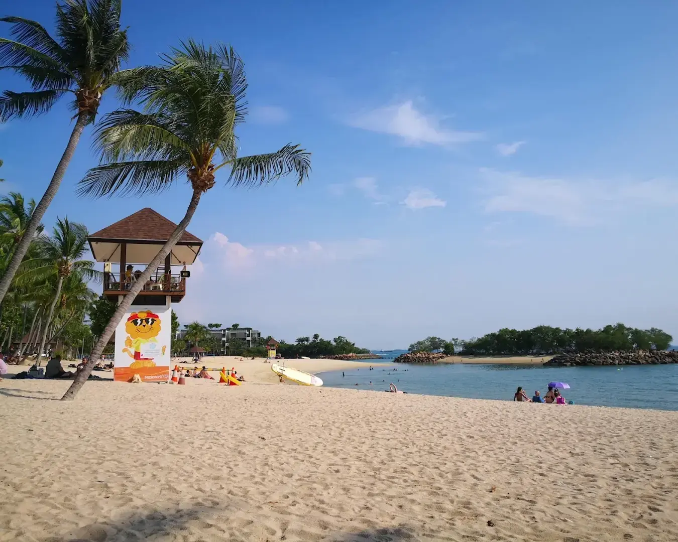 Golden sandy beach at Tanjong Beach Club with a clear blue sky and a tall coconut tree swaying gently, capturing a tropical paradise vibe.